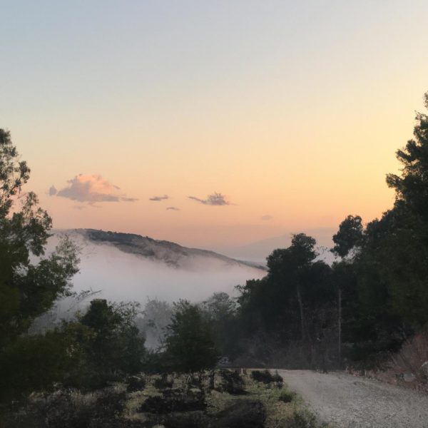 Ruyada Hirsizin Eve Girmesi