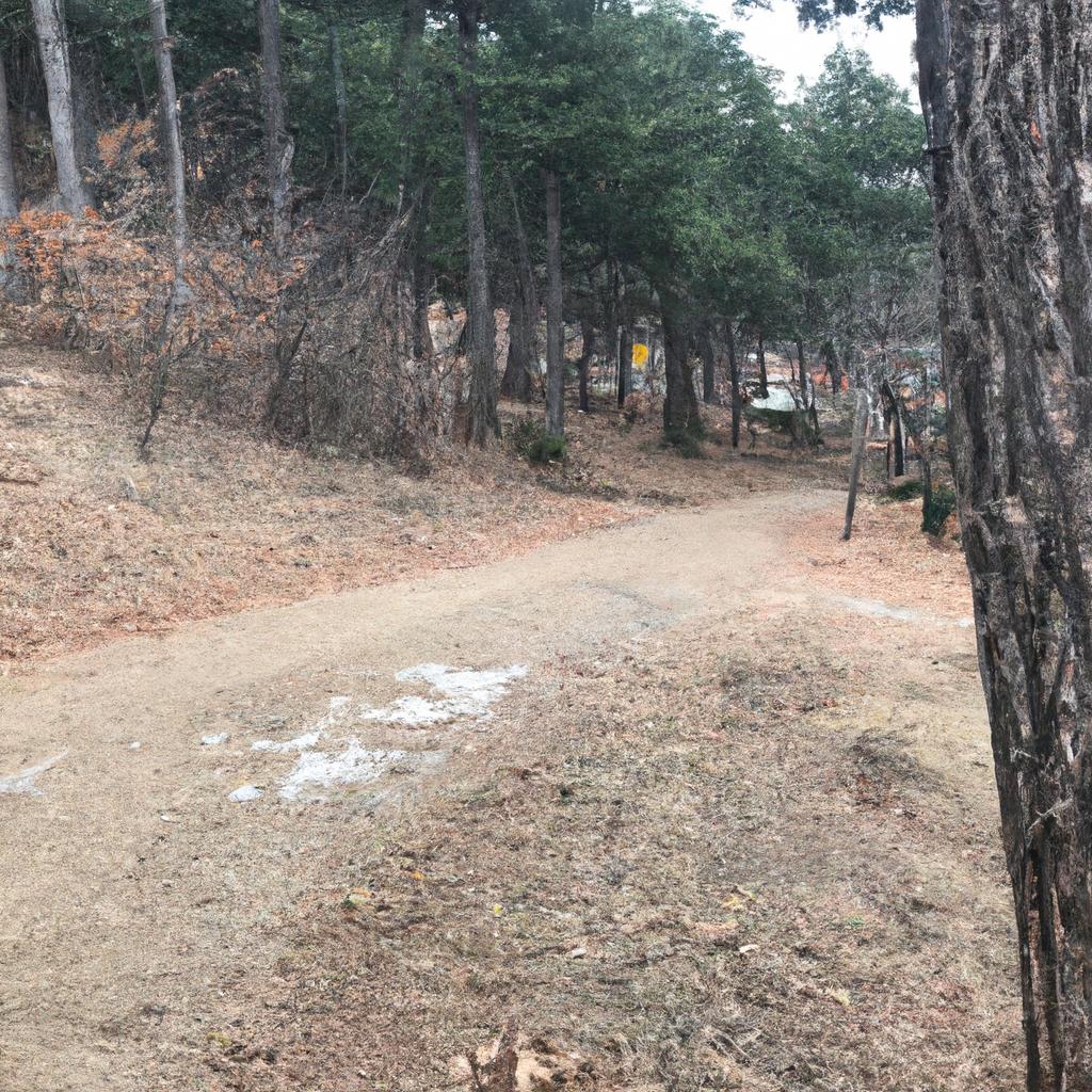 Ruyada Hirsizla Yuz Yuze Gelmek