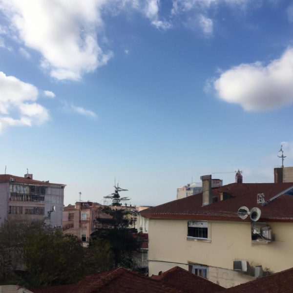 Ruyada Horoz Gormek Ne Anlama Gelir