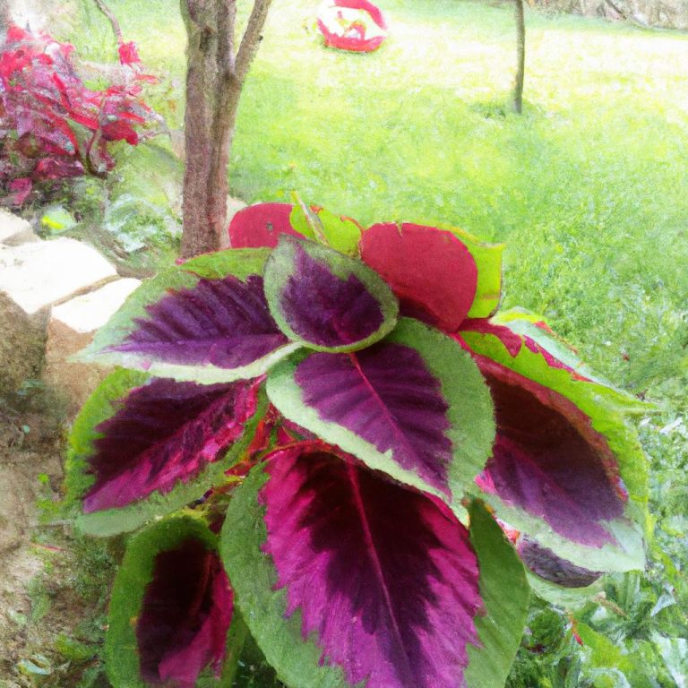 Ruyada Hortum Gormek