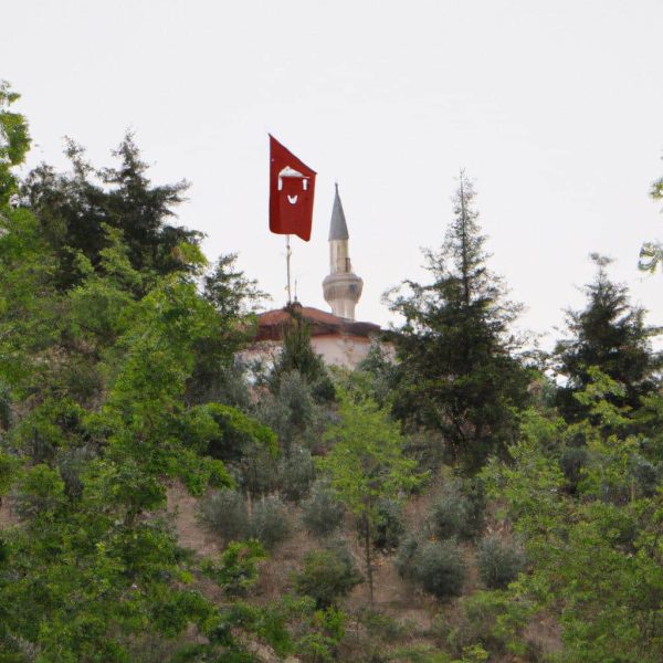 Ruyada Incir Yedigini Gormek