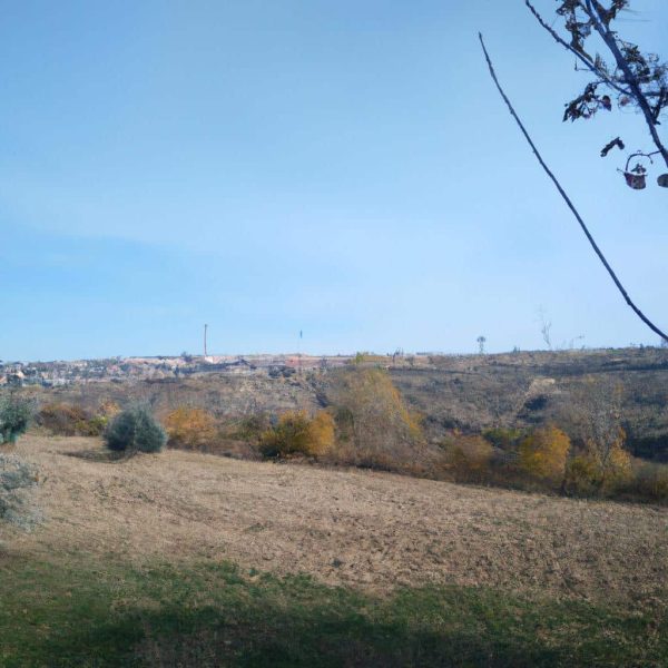 Ruyada Inek Saldirmasi