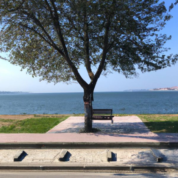 Ruyada Insan Eti Gormek