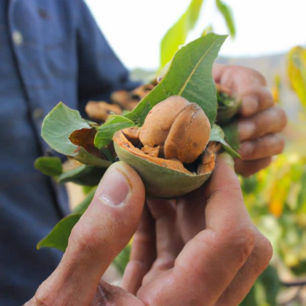 Ruyada Irmik Helvasi Gormek