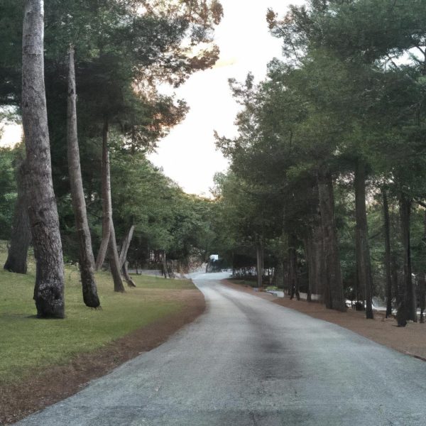 Ruyada Is Gorusmesine Gitmek