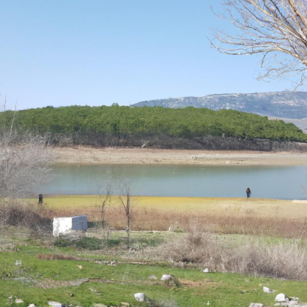 Ruyada Isirgan Otu Gormek