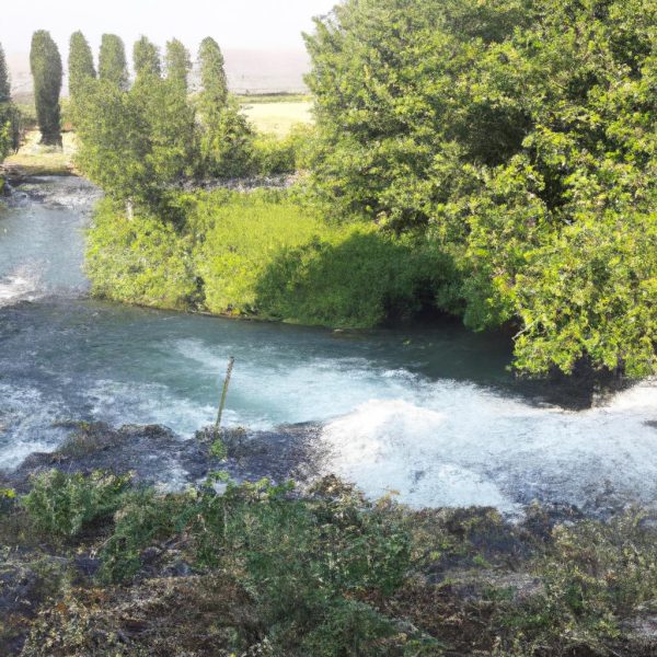 Ruyada Kagit Para Saymak