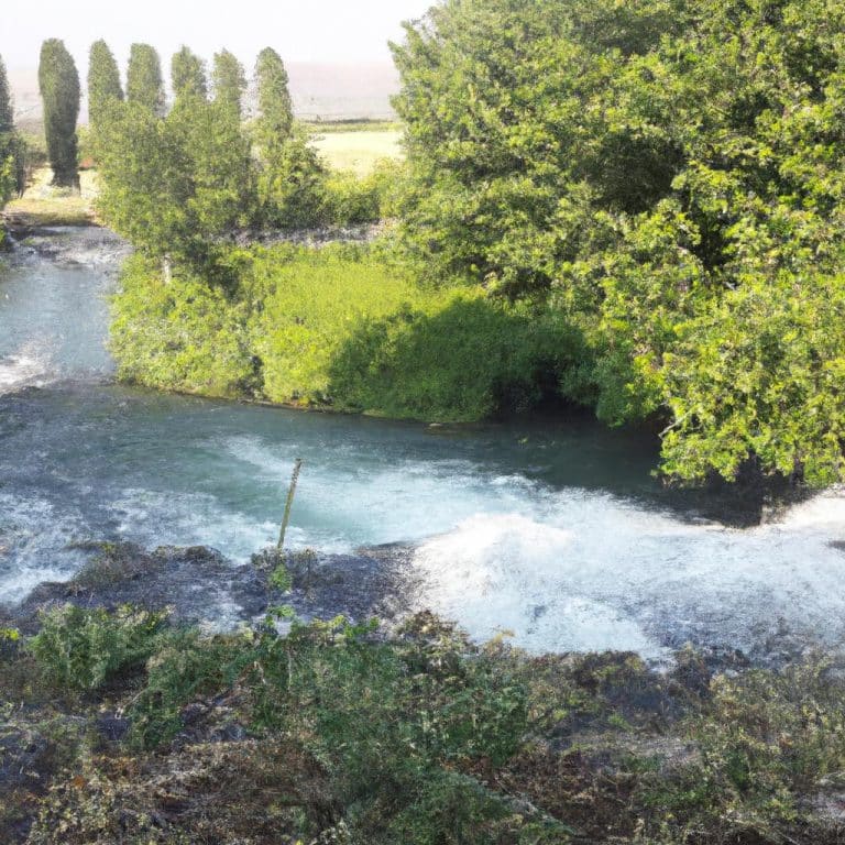 Ruyada Kagit Para Saymak