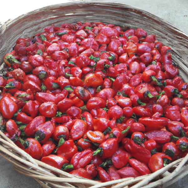 Ruyada Kalabalik Gormek