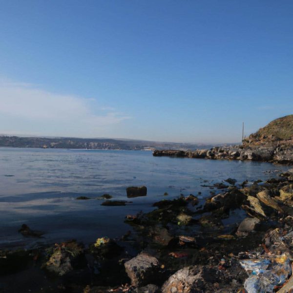 Ruyada Kan Aktigini Gormek