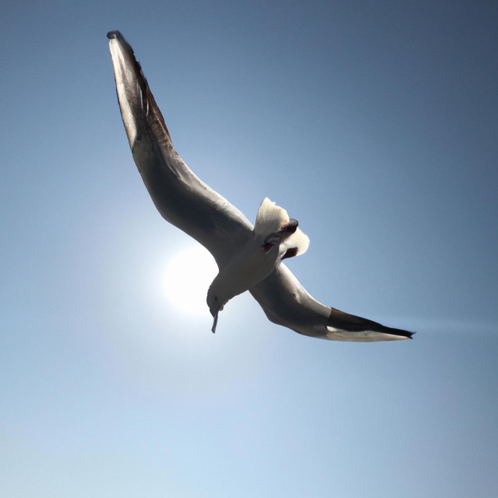 Ruyada Kanatsiz Ucmak