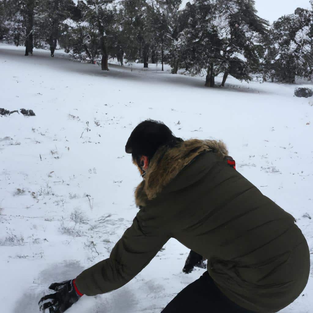 Ruyada Kar Topu Oynamak