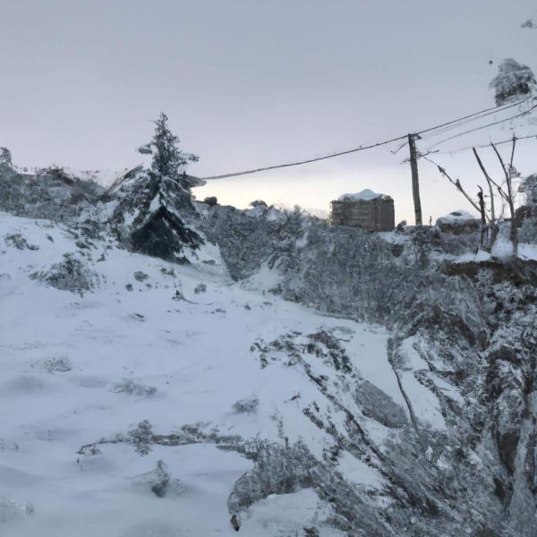 Ruyada Kar Yagdigini