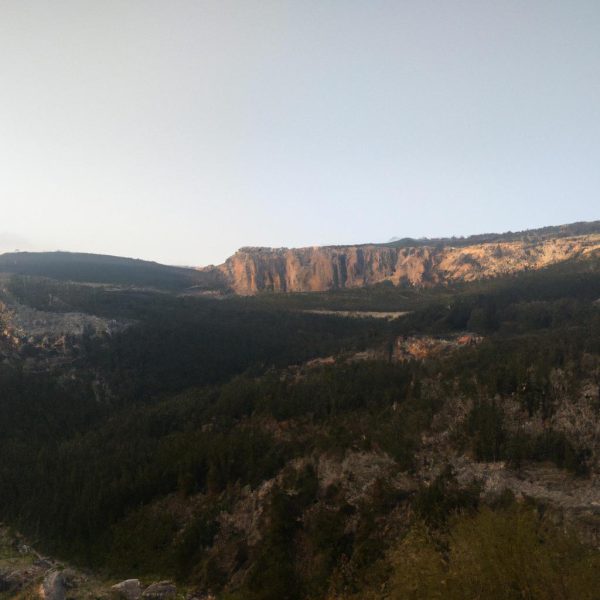 Ruyada Kara Erik Gormek