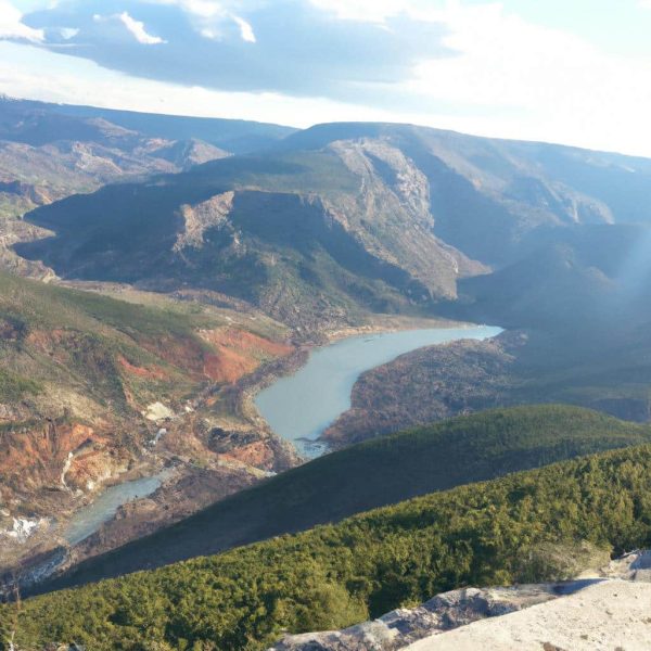 Ruyada Karadut Gormek