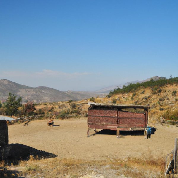 Ruyada Karakol Gormek