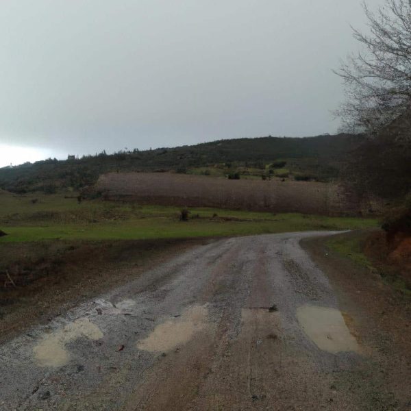 Ruyada Karakola Gitmek