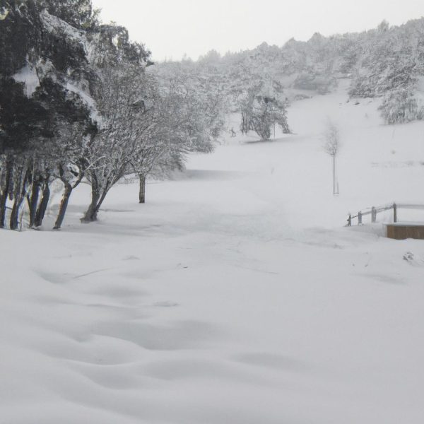 Ruyada Karda Yurumek