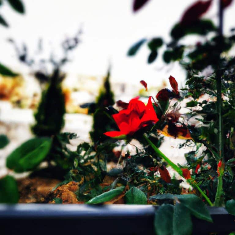 Ruyada Kardesinin Agladigini Gormek