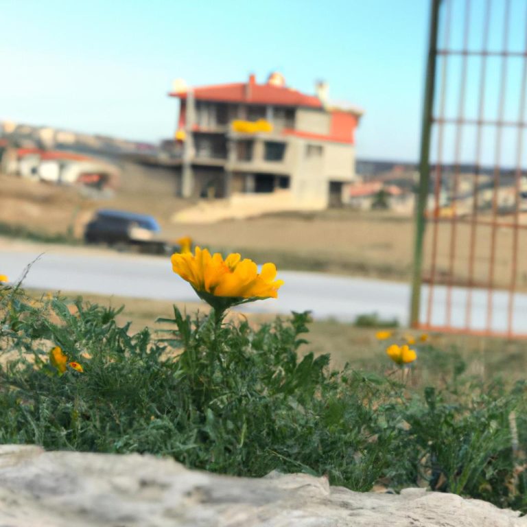 Ruyada Kardesinin Kayboldugunu Gormek