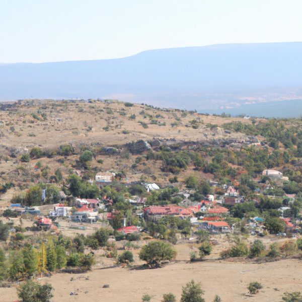 Ruyada Kardesle Kavga Etmek