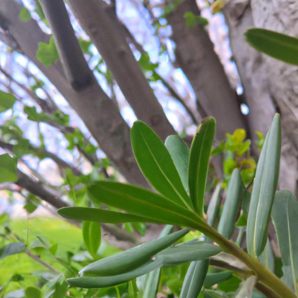 Ruyada Karinca Gormek Ne Anlama Gelir