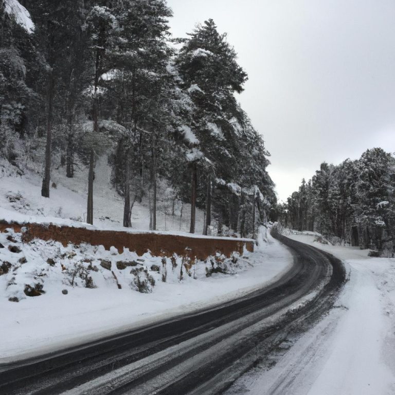 Ruyada Karli Yol Gormek