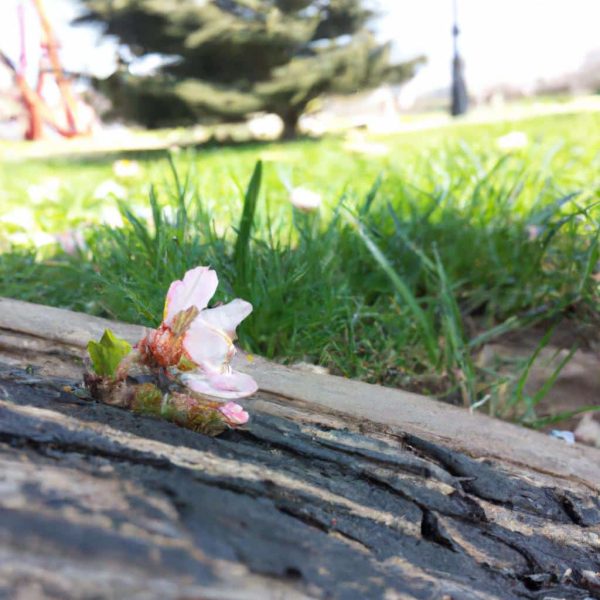 Ruyada Kaslarinin Dokuldugunu Gormek