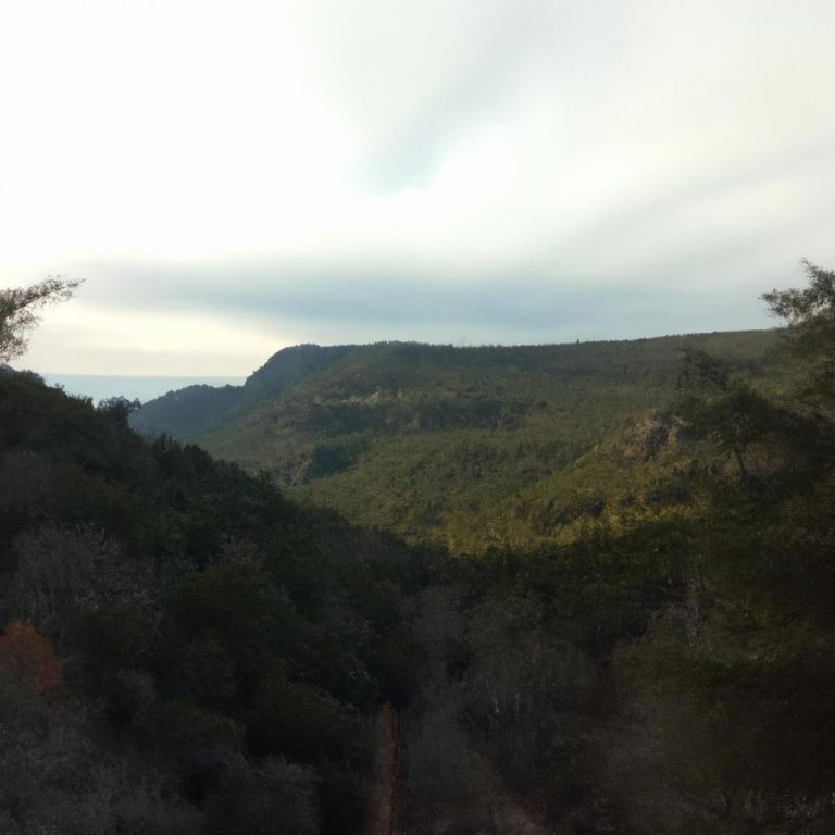 Ruyada Kavga Ettigini Gormek