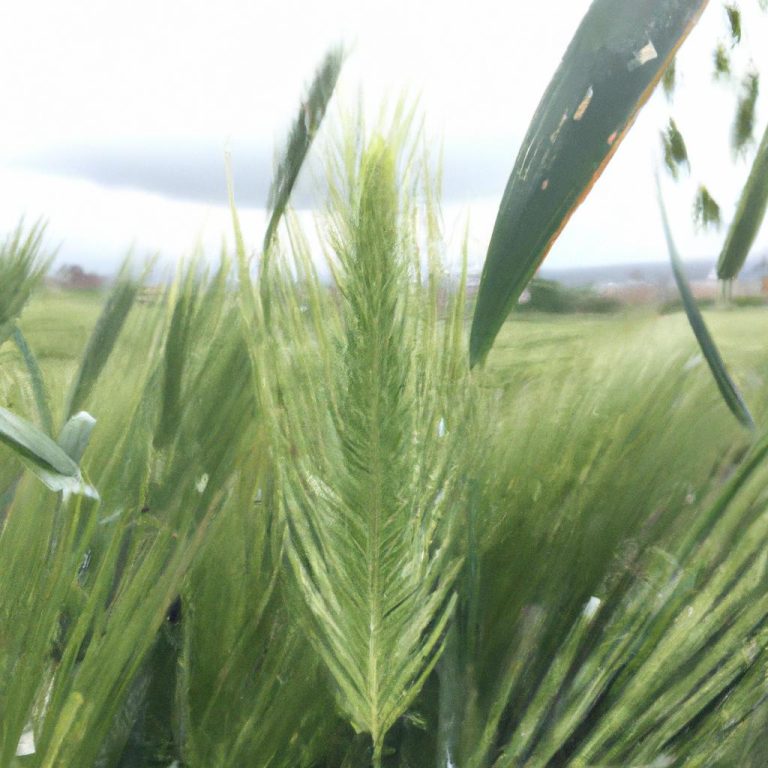 Ruyada Kaybolmak Ne Demek