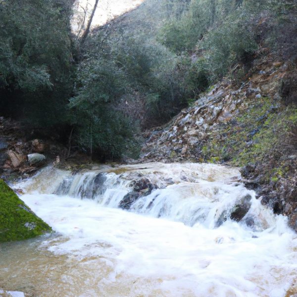 Ruyada Kayin Babayi Gormek