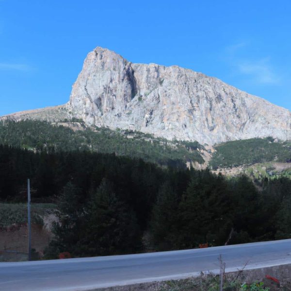 Ruyada Kayinbirader Gormek