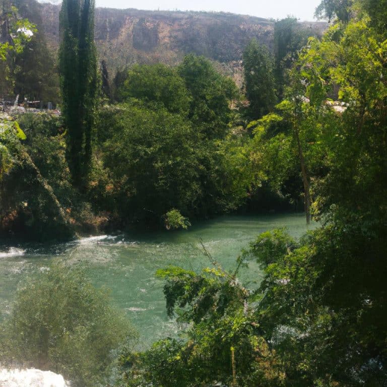 Ruyada Kayisi Toplamak