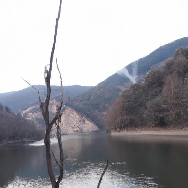 Ruyada Kaynini Gormek