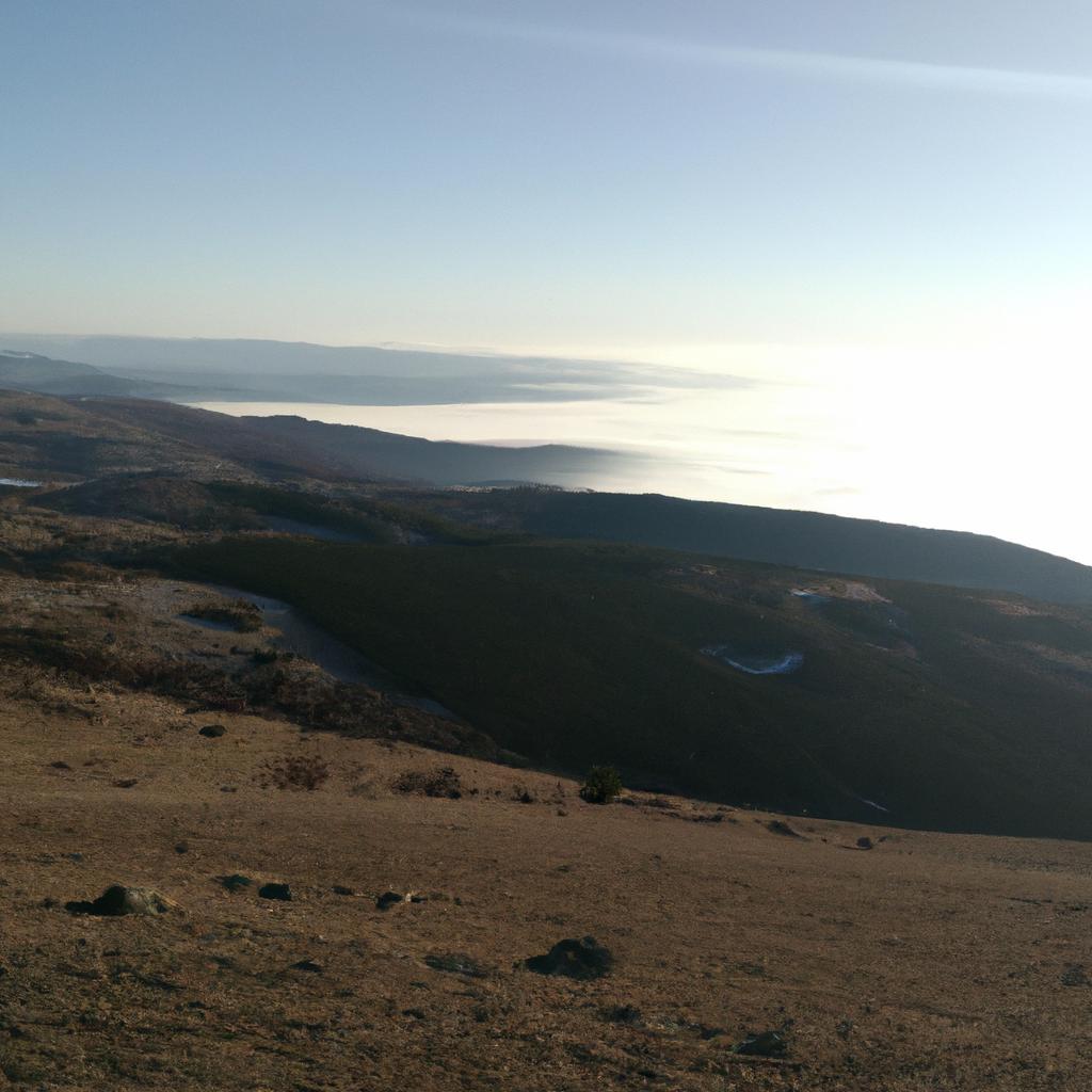 Ruyada Kaza Yaptigini Gormek