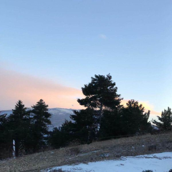 Ruyada Kel Oldugunu Gormek