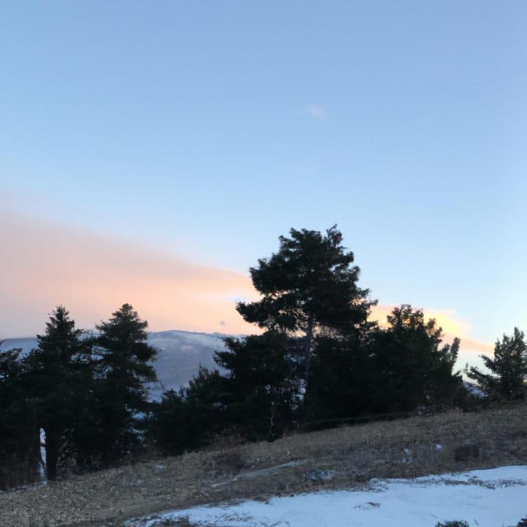 Ruyada Kel Oldugunu Gormek