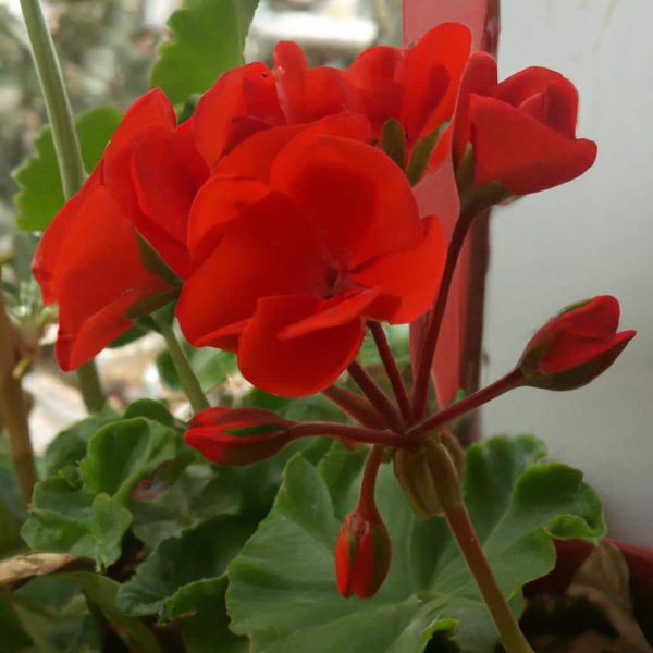 Ruyada Kendi Kizini Gormek