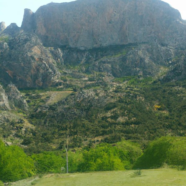 Ruyada Kendi Vucudunu Gormek