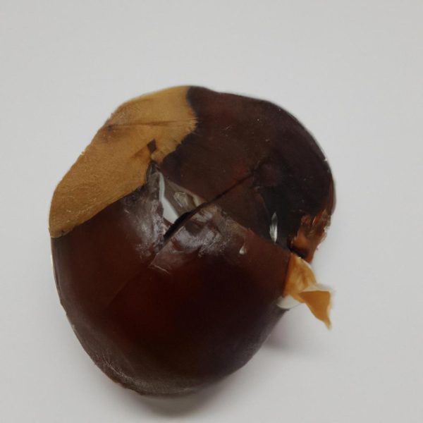 Ruyada Kestane Gormek Diyanet