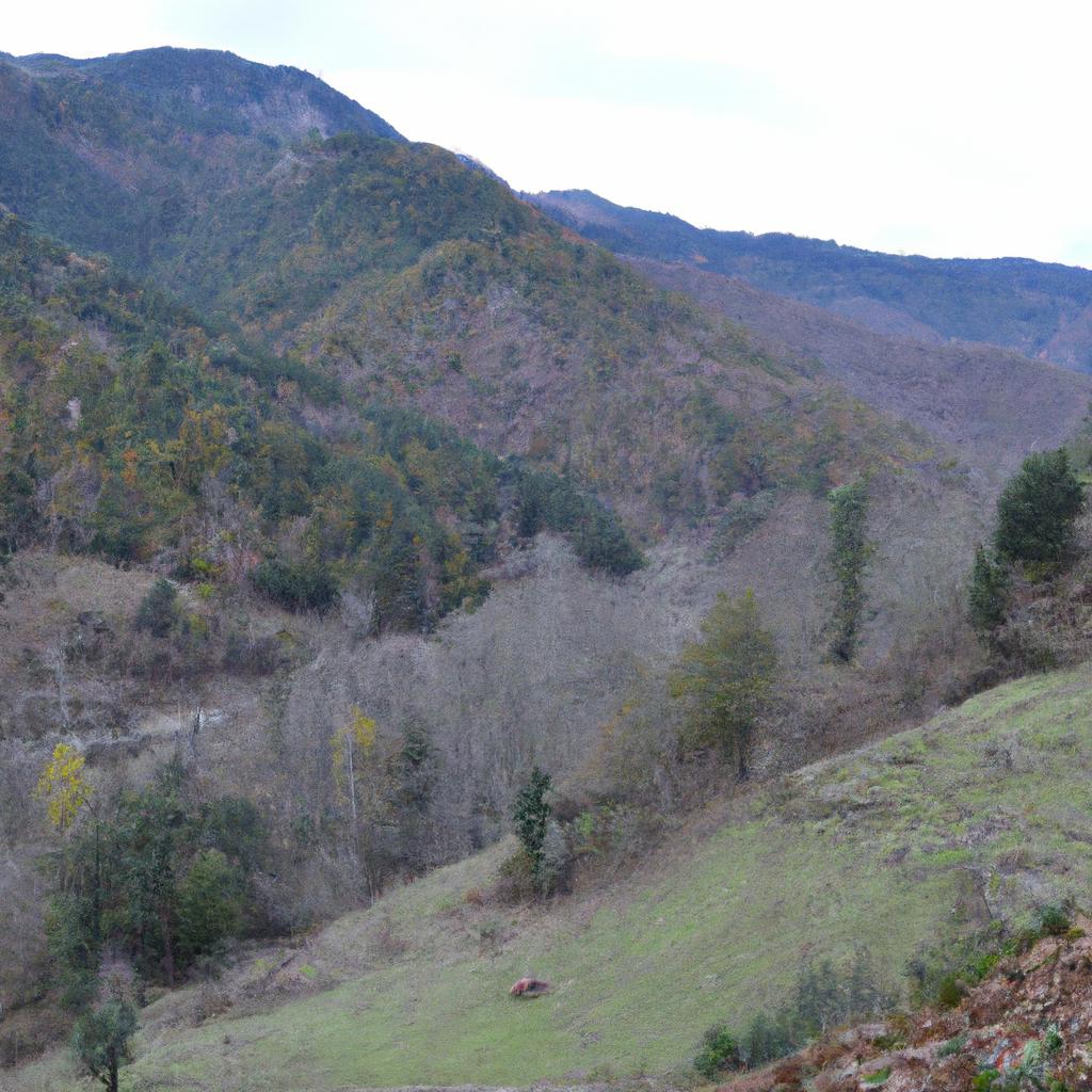 Ruyada Kil Koparmak