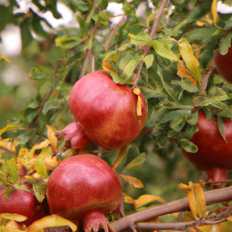 Ruyada Kirmizi Kazak Gormek