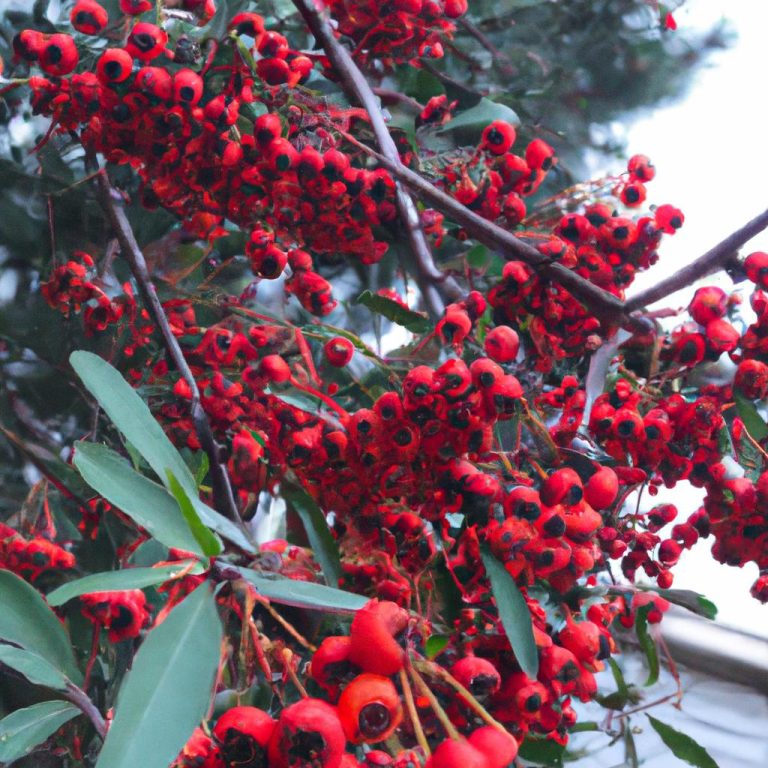 Ruyada Kirmizi Terlik Gormek