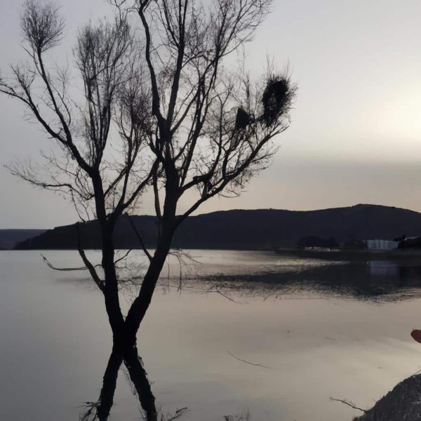 Ruyada Kiyamet Gormek