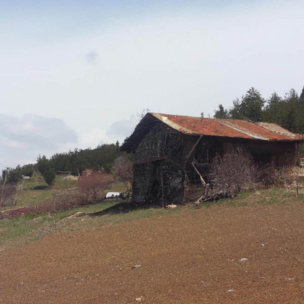 Ruyada Kocasinin Oldugunu Gormek