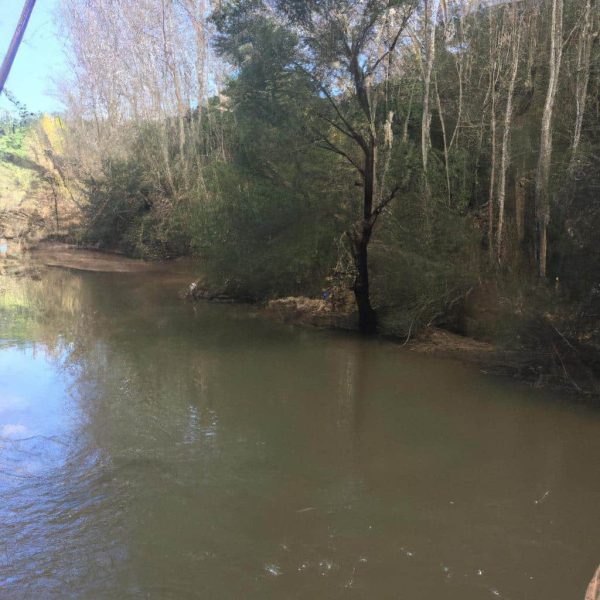 Ruyada Kolonya Gormek