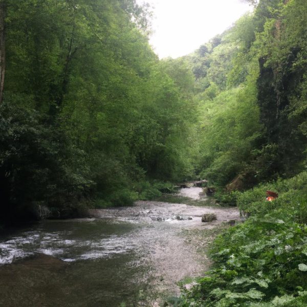 Ruyada Kor Birini Gormek