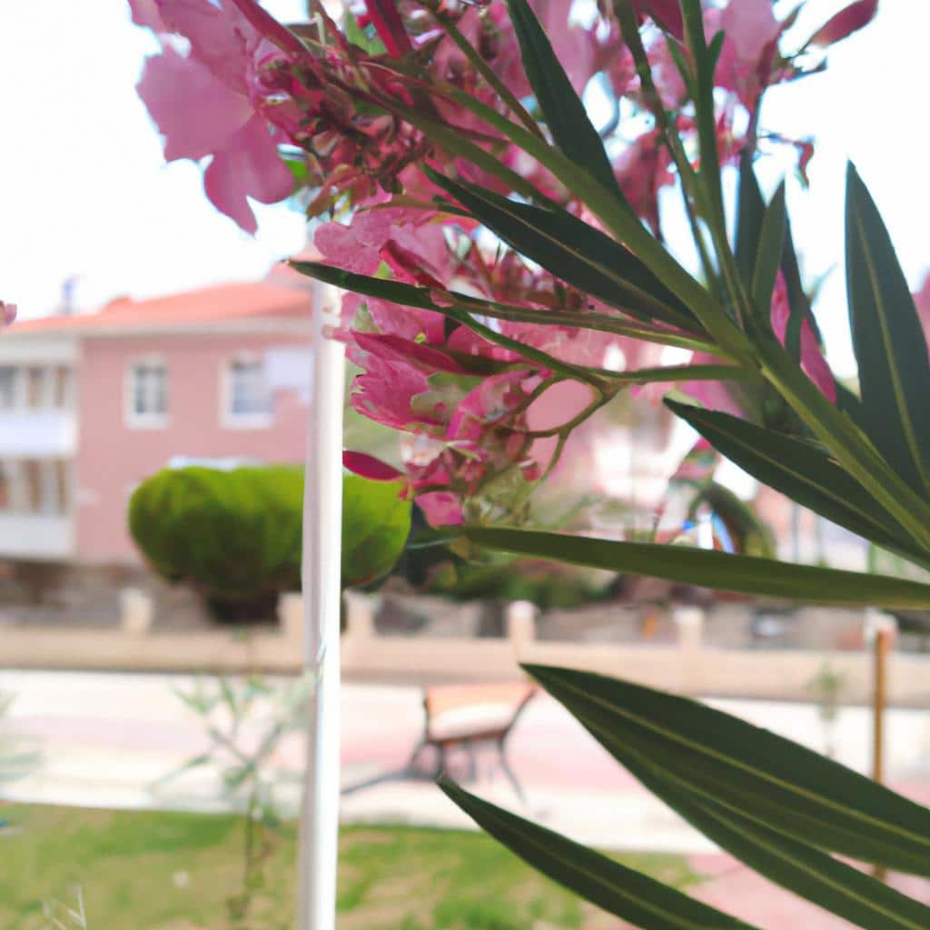 Ruyada Kotuluk Yapan Birini Gormek