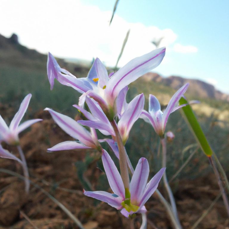Ruyada Kucuk Yilan Isirmasi