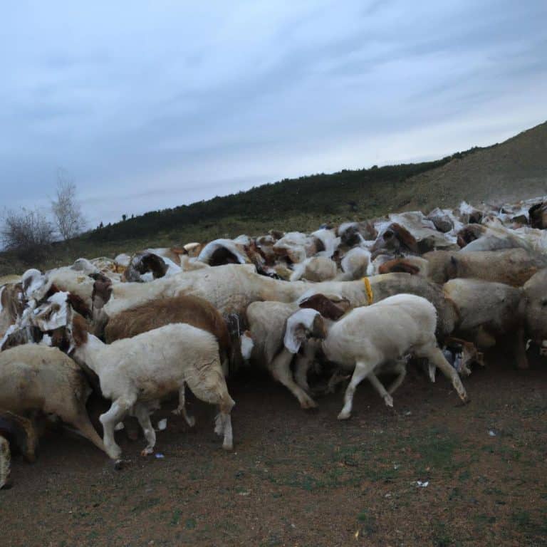 Ruyada Kurban Kesildigini Gormek 1